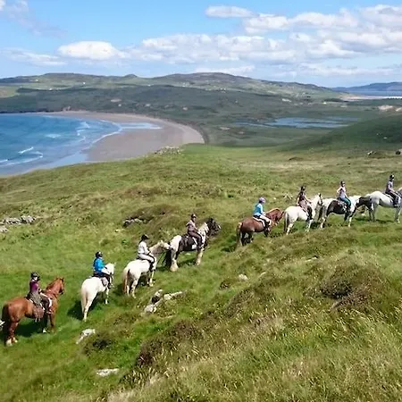 Arnolds & Riding Stables