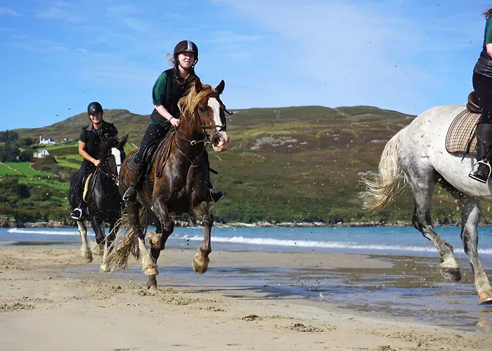 Arnolds Отель Данфанахи