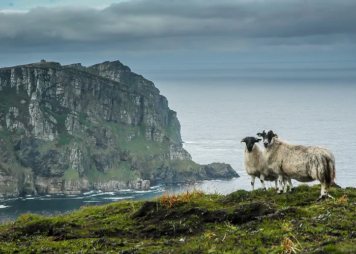 Arnolds Отель Данфанахи